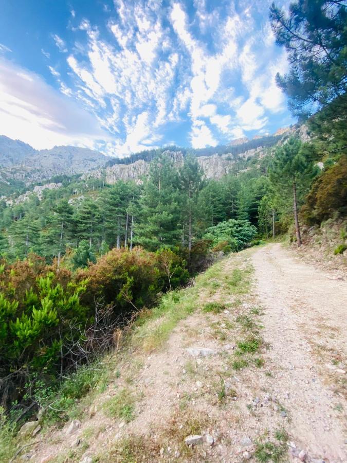 Calenzana Gr20 Lägenhet Exteriör bild